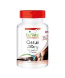 Fairvital Cissus Capsules - Vegan - HIGH Dosage - 90 Capsules - Cissus quadrangularis - Buy Online on GoSupps.com
