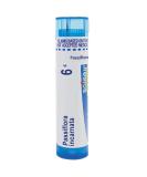 Buy Boiron Passiflora Incarnata 6C Md - 80 Pellets for Occasional Sleeplessness | International Shipping Available - Buy Online on GoSupps.com