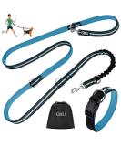 Etaccu double linen free -handed practice lines with rolling lines 3m for medium dog up to 50 kg large dogs robust non -slip handle without involvement reflective (blue) l 3m 50kg blue - Buy Online on GoSupps.com