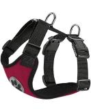 Slowton No-Pull Dog Harness | Soft Padded & Breathable | Scarlet Red | Small to Medium Dogs - Buy Online on GoSupps.com