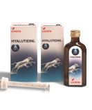 Buy Animedica Hyalutidin DC - Premium Hyaluronic Acid for Joint Health | International Shipping Available - Buy Online on GoSupps.com