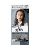 Shop Liese Kao Bubble Hair Color - Smoky Ash Gray | Vibrant International Shipping Available - Buy Online on GoSupps.com