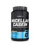 BioTechUSA Micellar Casein Protein Powder Longer Absorbtion time Gluten-Free and Fat-Free Added L-Glutamine 908 g Vanilla Vanilla 908 g (Pack of 1) - Buy Online on GoSupps.com