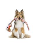 Nobleza 100% Cotton Dog Toy Rope - Promote Dental Health & Mental Wellness for All Dog Types (Beige & Braun L - 53cm) - Buy Online on GoSupps.com