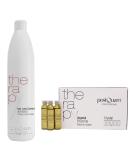 PostQuam Hair Loss Treatment Pack - 12 Ampoules Placenta Vegetal & 500ml Anti-Hair Loss Shampoo | Effective International Shipping - Buy Online on GoSupps.com