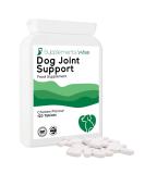 Senior Dog Joint Supplements - Glucosamine & Chondroitin - Pain Relief & Mobility Support - 120 Chicken Flavour Tablets - Buy Online on GoSupps.com