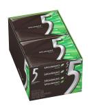 5 Gum Spearmint Rain Sugarfree Gum, 15 Piece (10 pack) - Buy Online on GoSupps.com