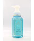 Crisp Morning Air Gentle Foaming Hand Soap - 8.75 fl oz | Nourishing Bath & Body Essentials | International Shipping Available - Buy Online on GoSupps.com