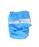 Healifty Washable Underwear 2pcs Adult Diapers Covers - Reusable Incontinence Pants for Women Men - Cloth Diaper Wraps - Washable Overnight Leakfree Underwear - Sky Blue - Buy Online on GoSupps.com