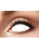 Eyecatcher 84092841.e09 - White Colored Sclera Contact Lenses for Carnival Mardi Gras & Halloween | 1 Pair 6 Months - Buy Online on GoSupps.com