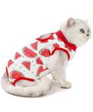 Agoumlux Katzenbody f r nach der Kastration - Rote Katze Recovery Kleidung mit Operationsschutz Baumwolle XL - Buy Online on GoSupps.com