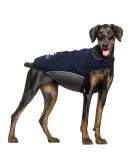 IREENUO Waterproof Dog Coat - Windproof Winter Jacket for Medium to Large Dogs - Adjustable & Reflective XL Blue Raincoat - Buy Online on GoSupps.com