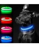 Yfbrite Large Blue LED Dog Collar | Rechargeable Reflective & Flashing Safety Collar | Adjustable Night Light for Dogs - Buy Online on GoSupps.com