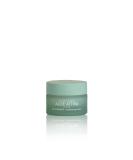 Shop ALOE ATTIVA 5b POWEREYE Multi-Benefit Eye Cream Hydrate & Revitalize Your Eyes | International Shipping Available - Buy Online on GoSupps.com