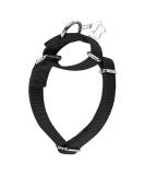Durable Martingale Dog Collar - Adjustable No Escape Nylon for Medium Dogs (1in x 14-21in) - Black - Buy Online on GoSupps.com