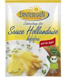 Buy Erntesegen Organic Yeast-Free Hollandaise Sauce (2 x 30g) - Best International Shipping - Buy Online on GoSupps.com