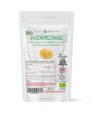 Organic Irish Sea Moss Capsules - 120 Count | Sun-Dried Additive-Free GMP Quality | Premium Cartilage Support - Buy Online on GoSupps.com
