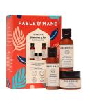 Fable & Mane HoliRoots Haircare Discovery Set - Shampoo, Conditioner & Hair Mask with Dashmool, Tiger Herb & Turmeric - Hydrating, Frizz-Fighting, Damage-Protecting Formula - Buy Online on GoSupps.com