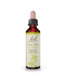 Bach Wild Rose Flower Remedy 20mL Dropper - Natural Holistic Stress Relief | Vegan Formula - Buy Online on GoSupps.com