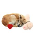 ALL FOR PAWS Puppy Heartbeat Pillow - Comforting Dog Cushion & Sleep Aid for Puppies | Plush Toy for Puppy Anxiety Relief - Buy Online on GoSupps.com
