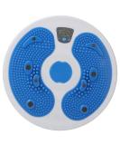 Buy EJOYOUS Taill Twister Plate - Electronic Calorie Counting Fitness Equipment for Effective Magnet Massage & Workout | Clock Count & Countdown Functions - Buy Online on GoSupps.com