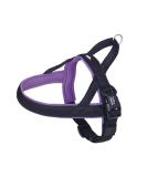 Nobby Norwegian Mesh Preno Harness for Dogs - Purple L-XL (68-85 cm) - Premium Quality International Shipping - Buy Online on GoSupps.com