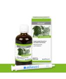 Alvafet Urostat supplementary feed to reduce urinary stone formation for dogs and cats with nettle and goldenrod 100ml dosing syringe - Buy Online on GoSupps.com
