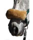 Engel Reitsport Lambskin Nose Protector for Halter - 12 Color Options Available Including Camel - Perfect for Equestrian Comfort - Buy Online on GoSupps.com