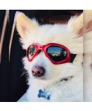 Petleso Dog Glasses - Stylish Waterproof UV Protection Sunglasses for Small/Medium Dogs - Windproof Eye Safety - Red - Buy Online on GoSupps.com