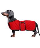 Minezi Dachshund Winter Jacket | Waterproof Dog Coat with Wool Lining & Adjustable Straps | Free-Red (36-38cm) - Buy Online on GoSupps.com