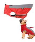 PLUS PO Dog Raincoat - Waterproof Full Raincoat for Small Dogs - Stylish Red & SS Pink Options - Buy Online on GoSupps.com