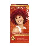 Creme of Nature Exotic Shine Hair Color 7.6 Intensive Red with Argan Oil - 1 Application - Buy Online on GoSupps.com