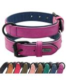 Didog Soft Padded Leather Dog Collar - Adjustable & Breathable for Medium & Large Dogs Purple 27-33 cm - Buy Online on GoSupps.com