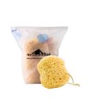 myHomeBody Premium Bath Sponge, Foam Loofah Sponge, Body Sponge for Shower - Large Size, Lots of Lather, Curvy, 3 Pack - Buy Online on GoSupps.com