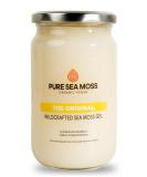 Organic Sea Moss Gel by Pure Sea Moss UK - The Original 720ml Made with Wildcrafted Organic Sea Moss - Vegan Irish Seamoss Sourced from St Lucia (720ml) 720 ml (Pack of 1) - Buy Online on GoSupps.com