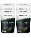 Terrasoul Superfoods Organic Barley Grass Juice Powder 20oz - USA Grown | Buy Online - Buy Online on GoSupps.com