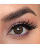 Buy La Bella Latin Brown Colored Contact Lenses - Premium Monthly Lenses for Dark Eyes | Strong Coverage | -0.00 Diopter - Buy Online on GoSupps.com