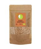 Organic Wheat Grain - Certified Organic - by Busy Beans Organic (500g) - Buy Online on GoSupps.com