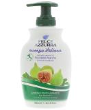 PAGLIERI Felce Azzurra Ritualia OLIVE della PUGLIA Liquid Soap 300ml | Best International Shipping | Premium Italian Liquid Soap - Buy Online on GoSupps.com