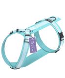 Stuch Dog Harness - Adjustable Padded Nylon for All Sizes | Turquoise XS for Small Medium Large Dogs - Buy Online on GoSupps.com