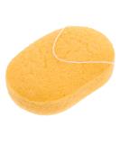 GLEAVI Konjac Sponge for Face Wash | Natural Facial Sponges & Makeup Pads | Best PVA Face Puff for Clean Skin - Buy Online on GoSupps.com