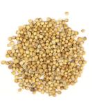 Organic Coriander Whole 100g - Premium Quality Spice for Cooking | [Brand Name] - Buy Online on GoSupps.com
