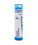 Boiron Drosera Rotundifolia 9C - Natural Relief for Spasmodic Dry Cough | 80 Homeopathic Pellets - International Shipping Available - Buy Online on GoSupps.com
