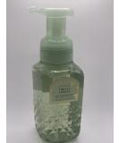 Firefly Forest Gentle Foaming Hand Soap - 8.75 oz | Diamond Plate Bottle | International Shipping - Buy Online on GoSupps.com
