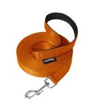 Loutep 20m Dog Training Line - Durable Orange Nylon Leash with Padded Handle & Robust Hook | Long Leash for Obedience Training - Buy Online on GoSupps.com