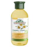 Chamomile Birch Wheat Shampoo - Hypoallergenic & Organic for Blonde Delicate Hair | 300ml - Buy Online on GoSupps.com