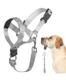 Shop No Pull Dog Halter - Medium Gray Dog Training Tool with Instructions for Comfortable Walks - Buy Online on GoSupps.com