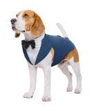 Kuoser Dog Smoking Suit & Bandana Set | Pet Formal Clothing for Weddings Halloween & Parties | Sizes S-XXL (M: 35cm) - Blue-Black - Buy Online on GoSupps.com