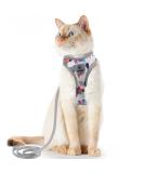 Supet Cat Dishes & Line Set - Stylish Crockery for Feline Friends | International Shipping Available - Buy Online on GoSupps.com