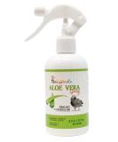 UnRuffledRx Aloe Vera Bird Bath Spray for Daily Care & Skin Health 8 Fl Oz 8 Fl Oz (Pack of 1) - Buy Online on GoSupps.com